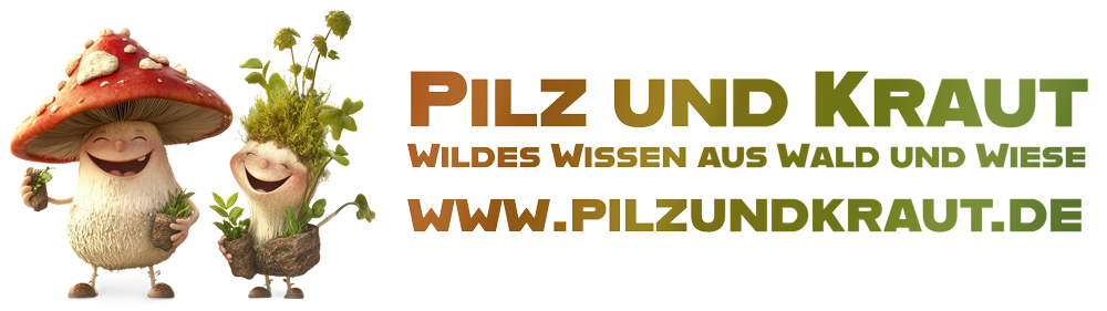 Pilz und Kraut