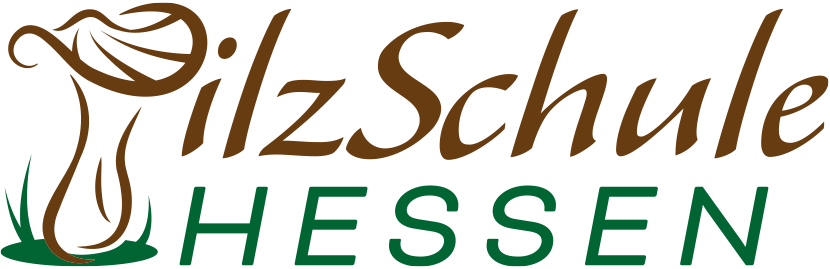 logo_kunst_vom_feld